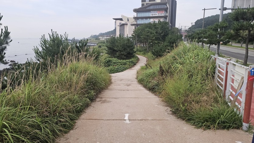 593574716497cb4052046229056cf025_1783395655_4845.jpg